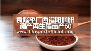 袁隆平广西灌阳调研 测产再生稻亩产500公斤-FIFA世界杯(图1)
