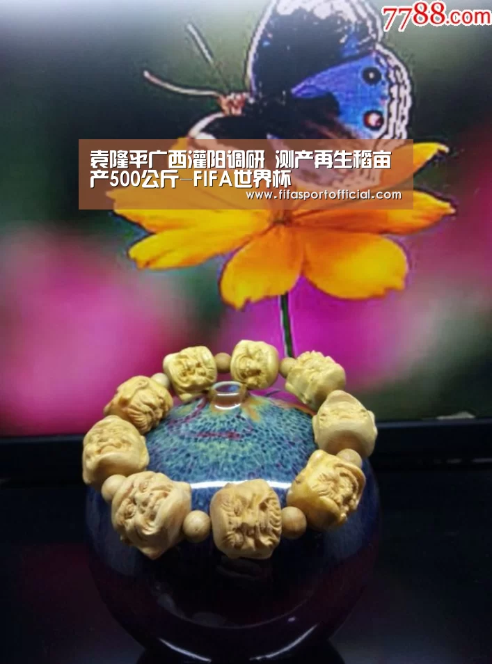 世界杯投注